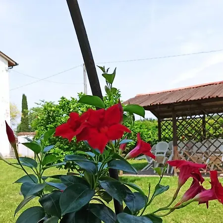 Melai Holiday home Orentano